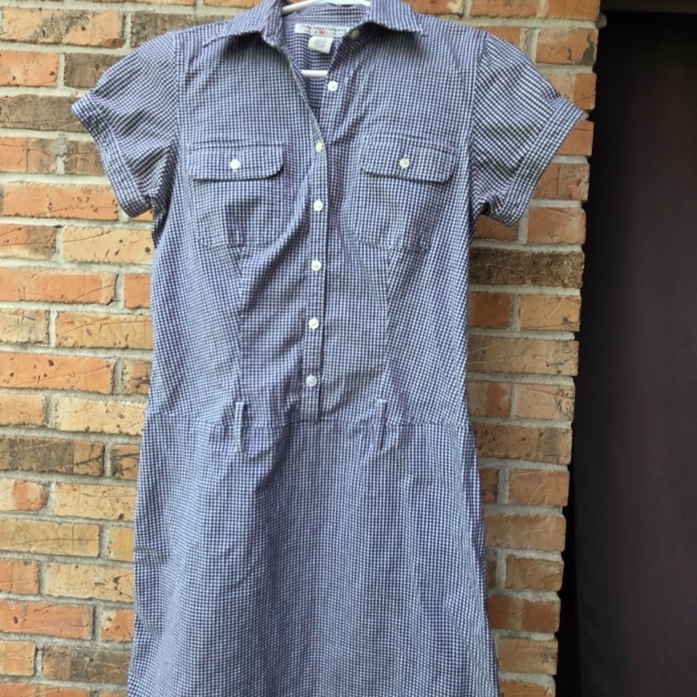Blue Gingham Button-Front Short Sleeve Mini Dress